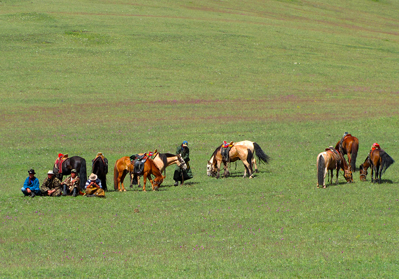 Mongolian herders